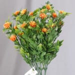 Follaje Pasto por 5 - Follaje y Plantas Envios a Bogotá y toda Colombia | Dkora Colombia