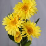 Mini Pompón por 8 – Naranja y Rojo - Flores Artificiales Envios a Bogotá y toda Colombia | Dkora Colombia