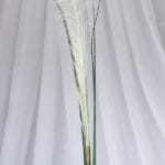 Hoja de Coche por 12 - Follaje y Plantas Envios a Bogotá y toda Colombia | Dkora Colombia