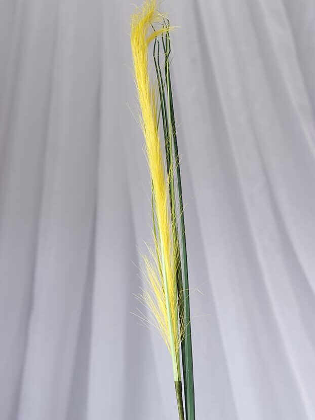 Vara Pampas – Amarillo - Follaje y Plantas Envios a Bogotá y toda Colombia | Dkora Colombia