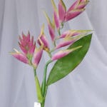 Vara Heliconia – Verde - Flores Artificiales Envios a Bogotá y toda Colombia | Dkora Colombia