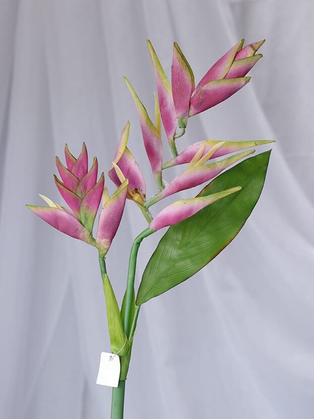 Vara Heliconia por 2 – Morado - Flores Artificiales Envios a Bogotá y toda Colombia | Dkora Colombia