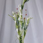 Hoja de Uva – Verde - Follaje y Plantas Envios a Bogotá y toda Colombia | Dkora Colombia