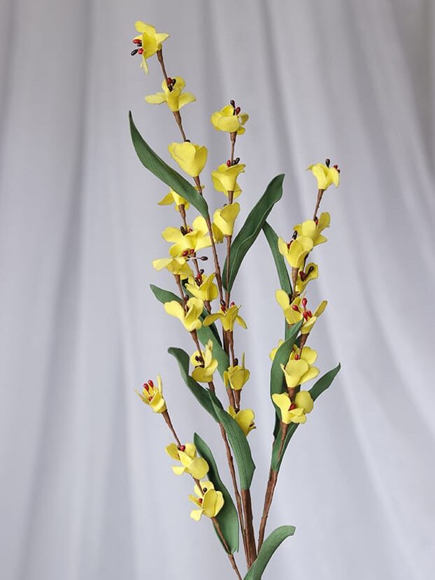 Orquídea Banana Foami por 2 varas – Amarilla - Follaje y Plantas Envios a Bogotá y toda Colombia | Dkora Colombia