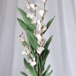 Orquídea Banana Foami por 2 varas- Lila - Follaje y Plantas Envios a Bogotá y toda Colombia | Dkora Colombia