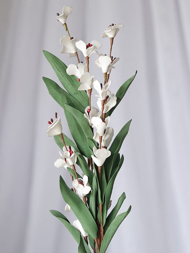 Orquídea Banana Foami por 2 varas-Blanca - Follaje y Plantas Envios a Bogotá y toda Colombia | Dkora Colombia