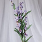 Orquídea Banana Foami por 2 varas-Blanca - Follaje y Plantas Envios a Bogotá y toda Colombia | Dkora Colombia