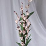 Orquídea Banana Foami por 2 varas- Lila - Follaje y Plantas Envios a Bogotá y toda Colombia | Dkora Colombia