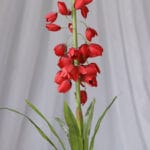 Vara Lirio por 2 – Fucsia - Flores Artificiales Envios a Bogotá y toda Colombia | Dkora Colombia