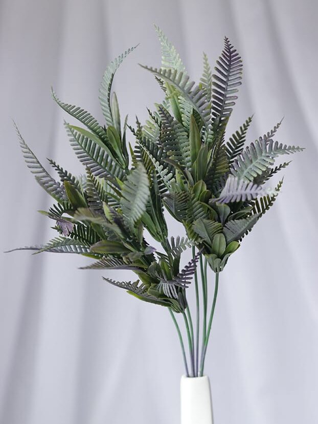 Helecho Hierba Persa – Verde y Morado - Follaje y Plantas Envios a Bogotá y toda Colombia | Dkora Colombia