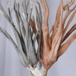 Flor Lluvia por 3 - Follaje y Plantas Envios a Bogotá y toda Colombia | Dkora Colombia