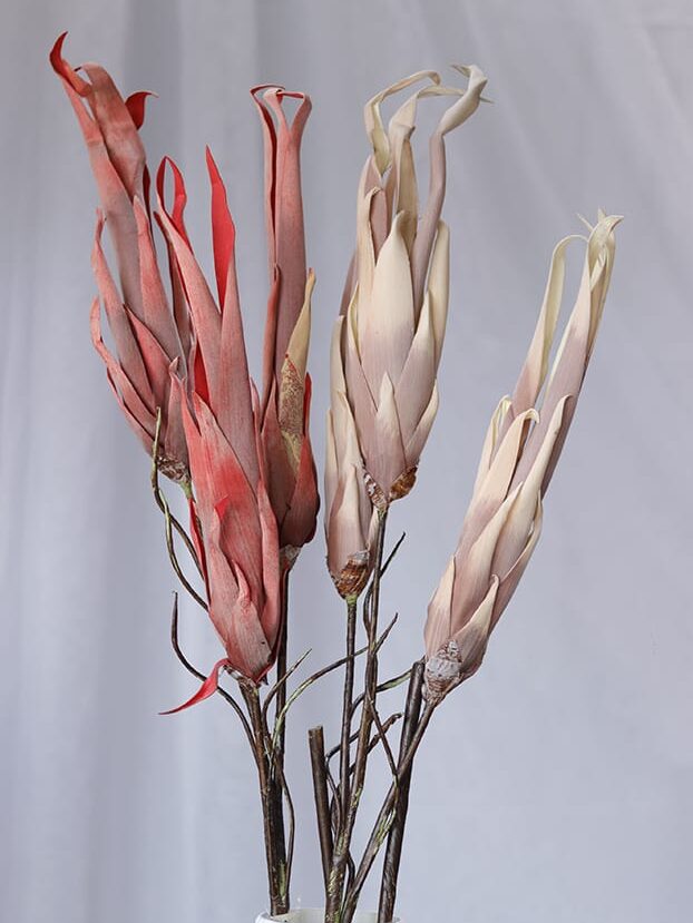 Vara Exótica en Foami por 3 - Follaje y Plantas Envios a Bogotá y toda Colombia | Dkora Colombia