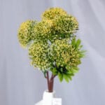 Follaje por 7 – Naranja - Follaje y Plantas Envios a Bogotá y toda Colombia | Dkora Colombia