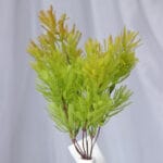 Hojas Mini Helecho Follaje – Verde Claro y Verde Oscuro - Follaje y Plantas Envios a Bogotá y toda Colombia | Dkora Colombia