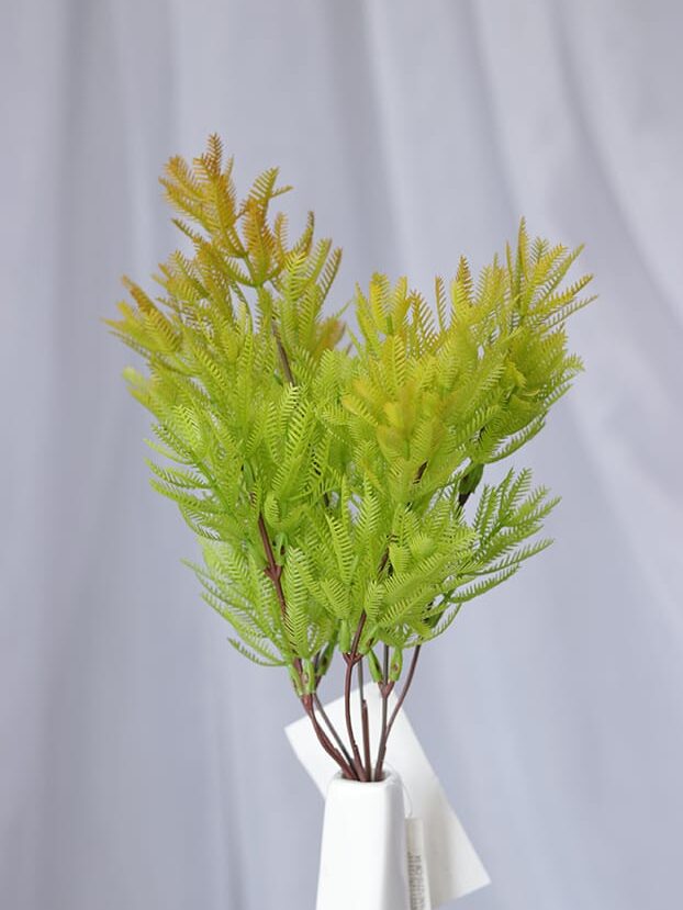 Hojas Mini Helecho Follaje – Verde y Amarillo - Follaje y Plantas Envios a Bogotá y toda Colombia | Dkora Colombia