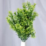 Hoja Sandia – Verde y Amarillo - Follaje y Plantas Envios a Bogotá y toda Colombia | Dkora Colombia