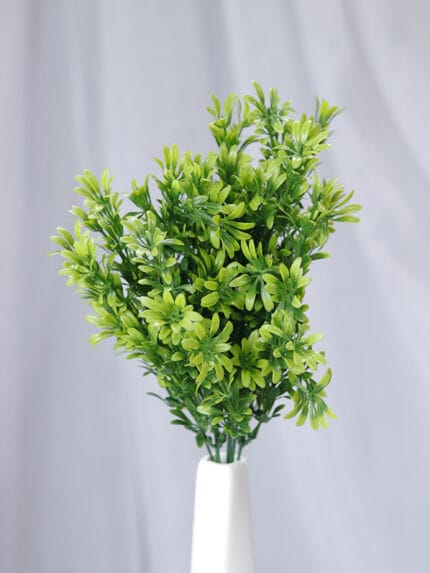 Buxus por 7 - Follaje y Plantas Envios a Bogotá y toda Colombia | Dkora Colombia