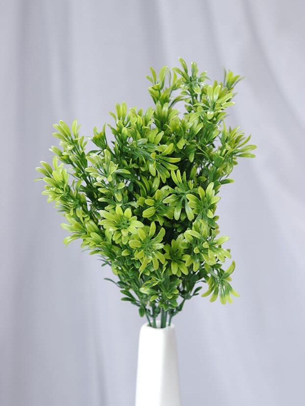 Buxus por 7 - Follaje y Plantas Envios a Bogotá y toda Colombia | Dkora Colombia