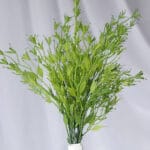 Follaje Hoja Moringa – Verde Claro - Follaje y Plantas Envios a Bogotá y toda Colombia | Dkora Colombia