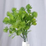 Hojas Eucalipto Follaje – Verde Claro - Follaje y Plantas Envios a Bogotá y toda Colombia | Dkora Colombia