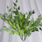 Hojas Bambú Follaje -Verde Oscuro - Follaje y Plantas Envios a Bogotá y toda Colombia | Dkora Colombia