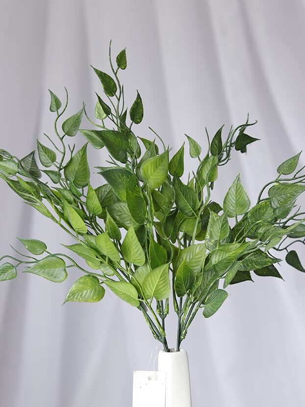 Follaje Potus – Verde Oscuro - Follaje y Plantas Envios a Bogotá y toda Colombia | Dkora Colombia