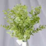 Hoja Palma – Verde - Follaje y Plantas Envios a Bogotá y toda Colombia | Dkora Colombia