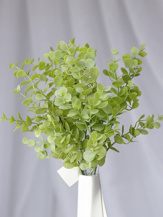 Hojas Centavito Follaje – Verde Claro - Follaje y Plantas Envios a Bogotá y toda Colombia | Dkora Colombia