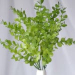 Hojas Centavito Follaje – Verde Claro - Follaje y Plantas Envios a Bogotá y toda Colombia | Dkora Colombia