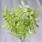 Follaje Azucena – Verde Oscuro - Follaje y Plantas Envios a Bogotá y toda Colombia | Dkora Colombia