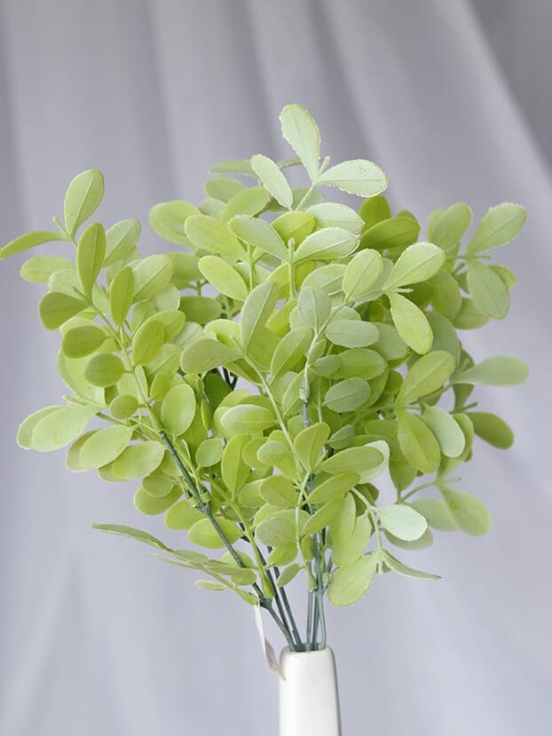 Follaje Hoja Moringa – Verde Claro - Follaje y Plantas Envios a Bogotá y toda Colombia | Dkora Colombia