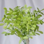 Vara Exótica en Foami - Follaje y Plantas Envios a Bogotá y toda Colombia | Dkora Colombia