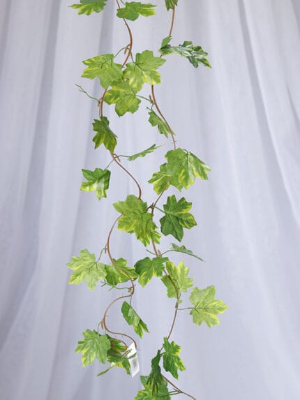 Enredadera hoja Vid Reales – Verde - Follaje y Plantas Envios a Bogotá y toda Colombia | Dkora Colombia