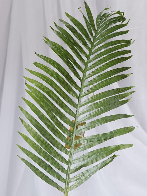 Hoja Palma Grande -Verde - Follaje y Plantas Envios a Bogotá y toda Colombia | Dkora Colombia