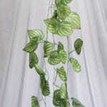 Mata Hoja Alocasia por 24 - Follaje y Plantas Envios a Bogotá y toda Colombia | Dkora Colombia