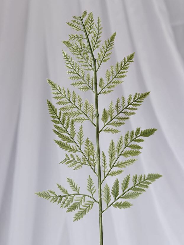 Vara Helecho Cuero – Verde - Follaje y Plantas Envios a Bogotá y toda Colombia | Dkora Colombia