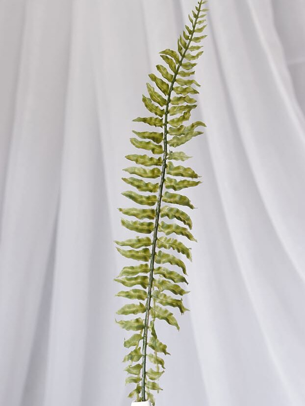 Vara Hoja Helecho – Verde - Follaje y Plantas Envios a Bogotá y toda Colombia | Dkora Colombia