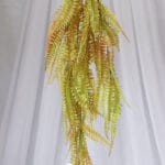 Planta Helecho de Boston – Verde Claro - Follaje y Plantas Envios a Bogotá y toda Colombia | Dkora Colombia