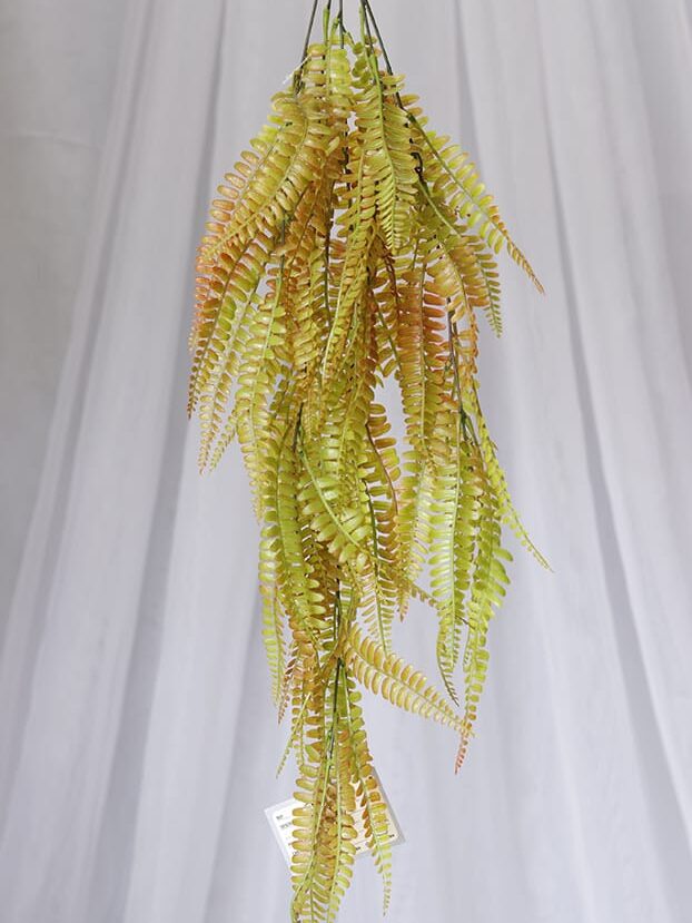 Planta Helecho de Boston – Verde y Rojo - Follaje y Plantas Envios a Bogotá y toda Colombia | Dkora Colombia