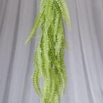 Planta Potus – Verde y Rojo - Follaje y Plantas Envios a Bogotá y toda Colombia | Dkora Colombia