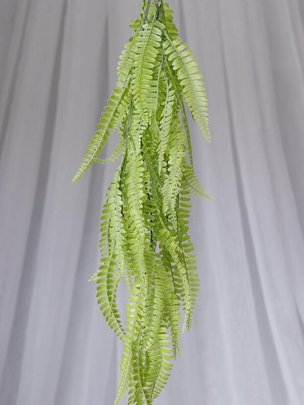 Planta Helecho de Boston – Verde Claro - Follaje y Plantas Envios a Bogotá y toda Colombia | Dkora Colombia