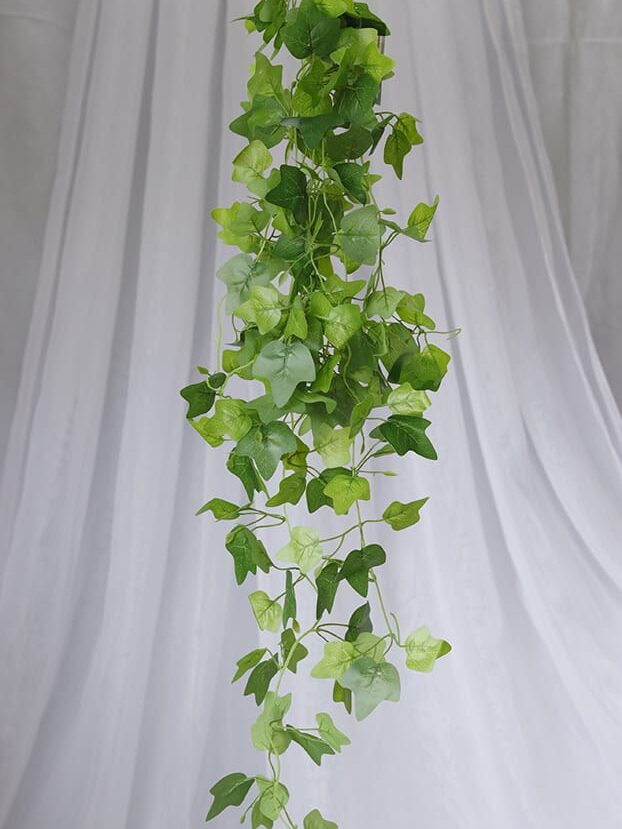 Planta Corazón de Jesús – Verde - Follaje y Plantas Envios a Bogotá y toda Colombia | Dkora Colombia