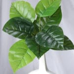 Vara follaje Bayas - Follaje y Plantas Envios a Bogotá y toda Colombia | Dkora Colombia