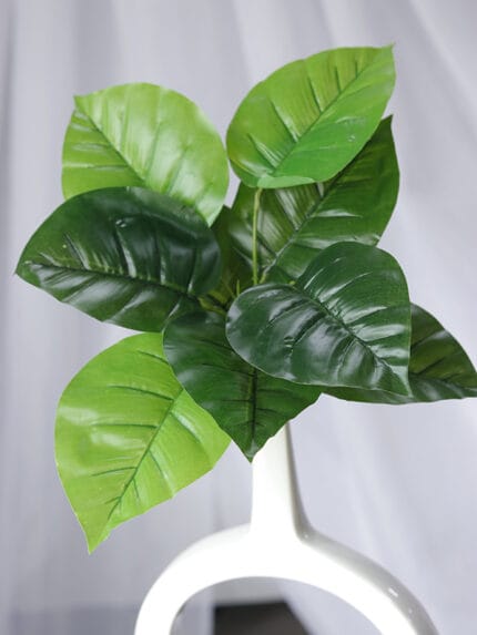 Planta Caladium - Follaje y Plantas Envios a Bogotá y toda Colombia | Dkora Colombia