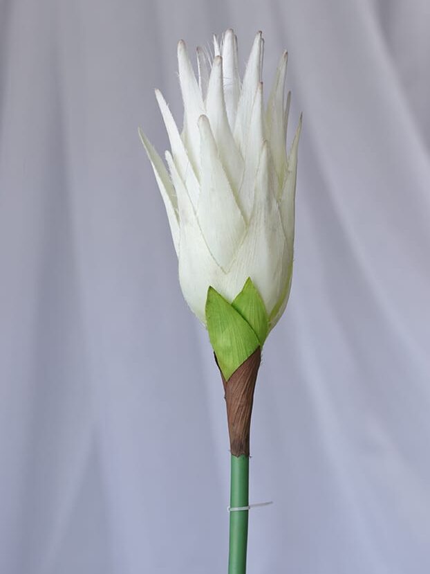 Vara Heliconia – Blanco - Flores Artificiales Envios a Bogotá y toda Colombia | Dkora Colombia