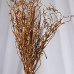 Follaje Envejecido – Café Oscuro - Follaje y Plantas Envios a Bogotá y toda Colombia | Dkora Colombia