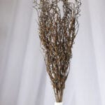 Helecho Hierba Persa – Verde y Morado - Follaje y Plantas Envios a Bogotá y toda Colombia | Dkora Colombia