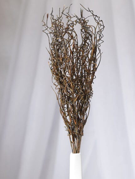 Follaje Envejecido – Café Oscuro - Follaje y Plantas Envios a Bogotá y toda Colombia | Dkora Colombia