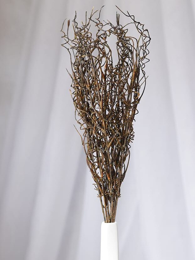 Follaje Envejecido – Café Oscuro - Follaje y Plantas Envios a Bogotá y toda Colombia | Dkora Colombia