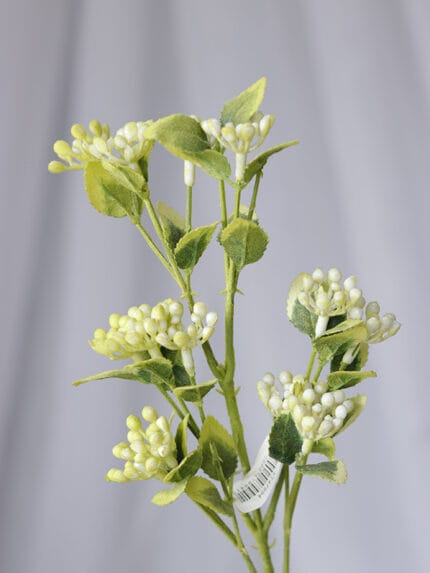 Vara follaje Bayas - Follaje y Plantas Envios a Bogotá y toda Colombia | Dkora Colombia